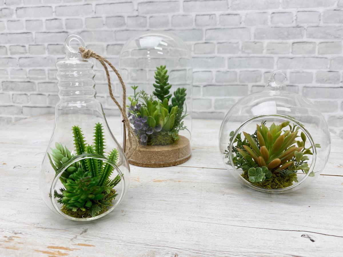 多肉植物&times;ガラスで作るインテリア